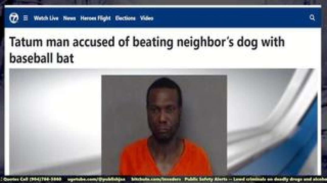 Man arrested defending himself against attack dog with baseball bat in South! Next time use spear!