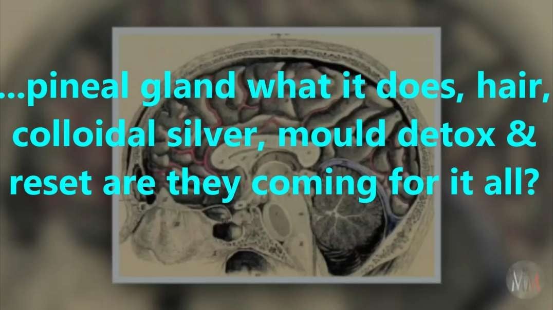 ...pineal gland what it does, hair, colloidal silver, mould detox & reset are they coming for it all.mp4