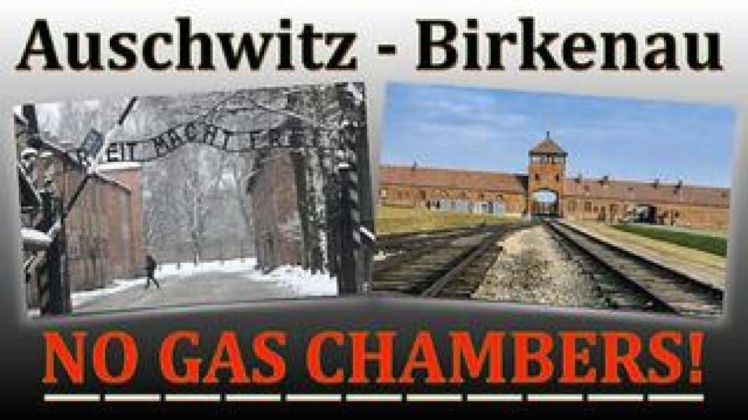 Father James Mawdsley - Auschwitz-Birkenau No Gas Chambers