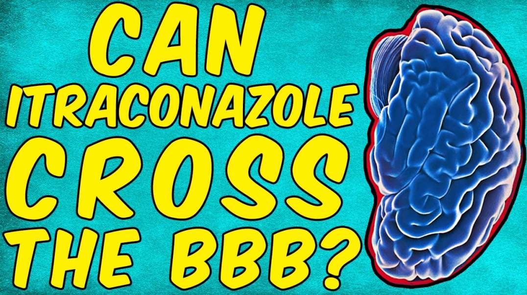 Can Itraconazole Cross the Blood Brain Barrier? - (Science Based)