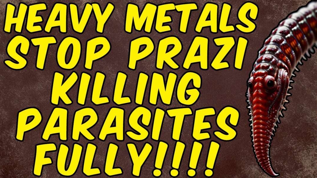 Heavy Metals STOP Itraconazole From Eradicating PARASITES FULLY!