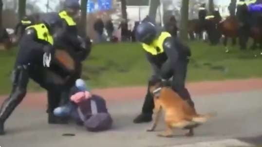 Bring a Baton.The Dutch just like Palestine When Police & Their Dogs Brutally Attacked Protestors In Holland In April 2021