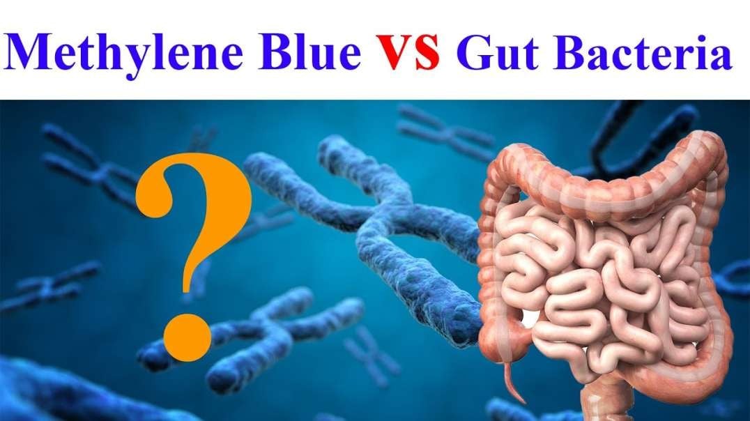 Discover How Methylene Blue Impacts Your Microbiome - Dr. Dane Newville