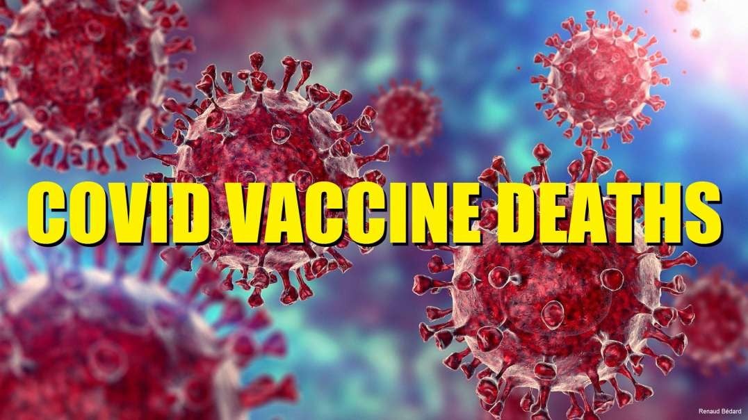 COVID VACCINE DEATHS NOT MENTIONNING MANY MORE INJURIES