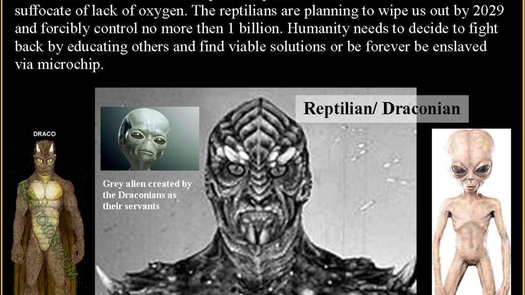 THE REPTILIAN THROUGH HISTORY MOLDING AND SHAPING MAN KIND THE WRONG WHY DONE BY DISIGNE.