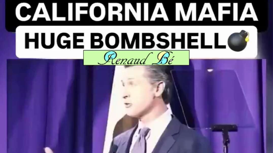 CALIFORNIA CORRUPTION NEWSOM PELOSI BROWN GETTY CRIME FAMILIES