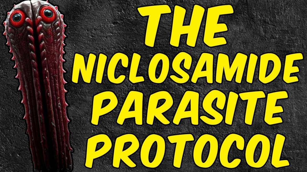 The Niclosamide Parasite Detox Protocol