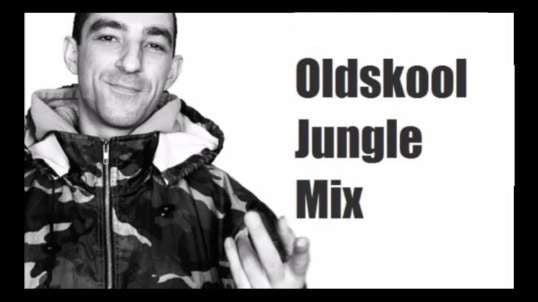 DJ Hype OldSkool Jungle Mix - CHampion style never to be forgotten!!!