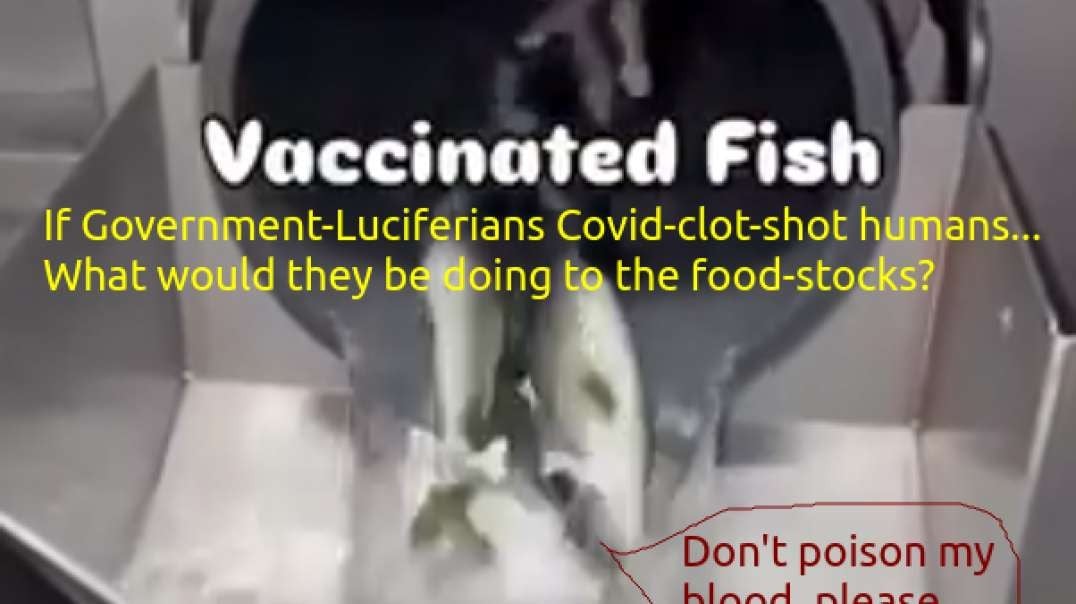 Factory Farmed Fish Are "Vaccinated" So were Covid-19 clot-death people