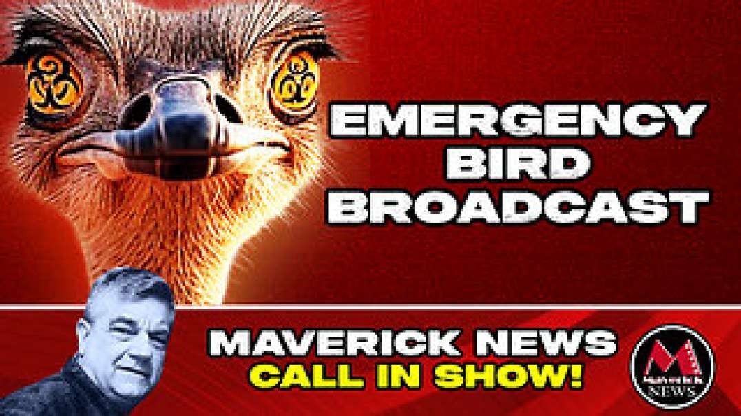 Ostrich Farm Protest - Emergency Broadcast | Missing Ostrich Mystery - Plus Egg Sale Controvery