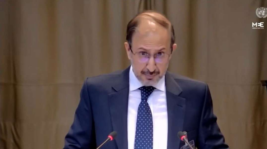5-1-25 ICJ Hears Case on Israel’s Gaza Blockade and Obligations in Palestinian Territory PT8.mp4