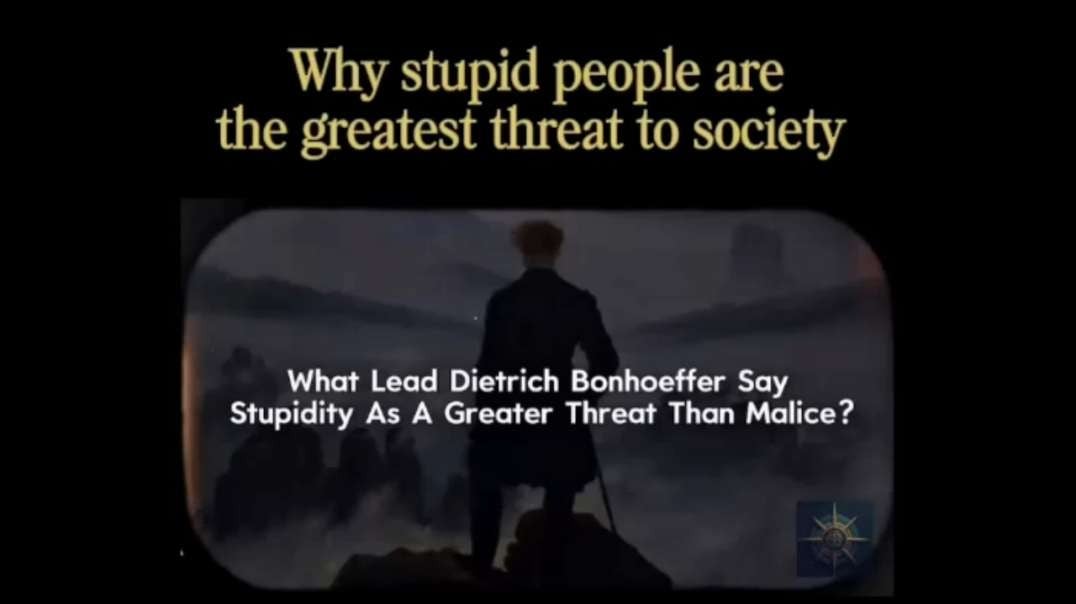 🔥 Programmed Stupidity 🔥