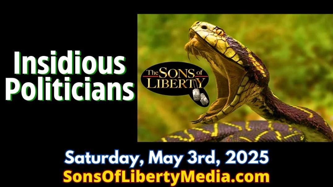 Insidious Politicians
