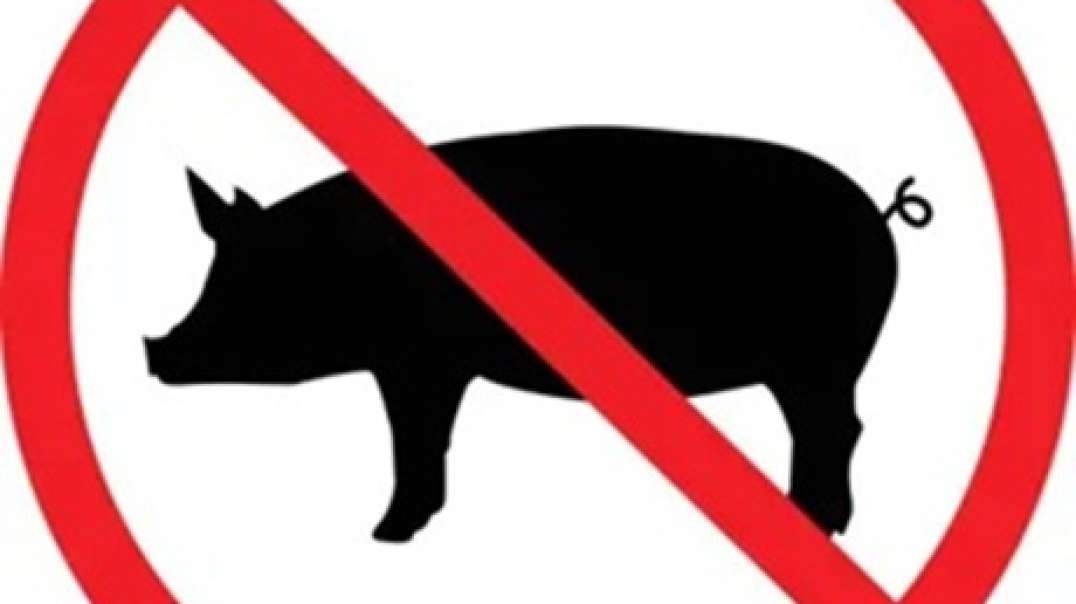 Health reform: the consequences of eating pork! (2)