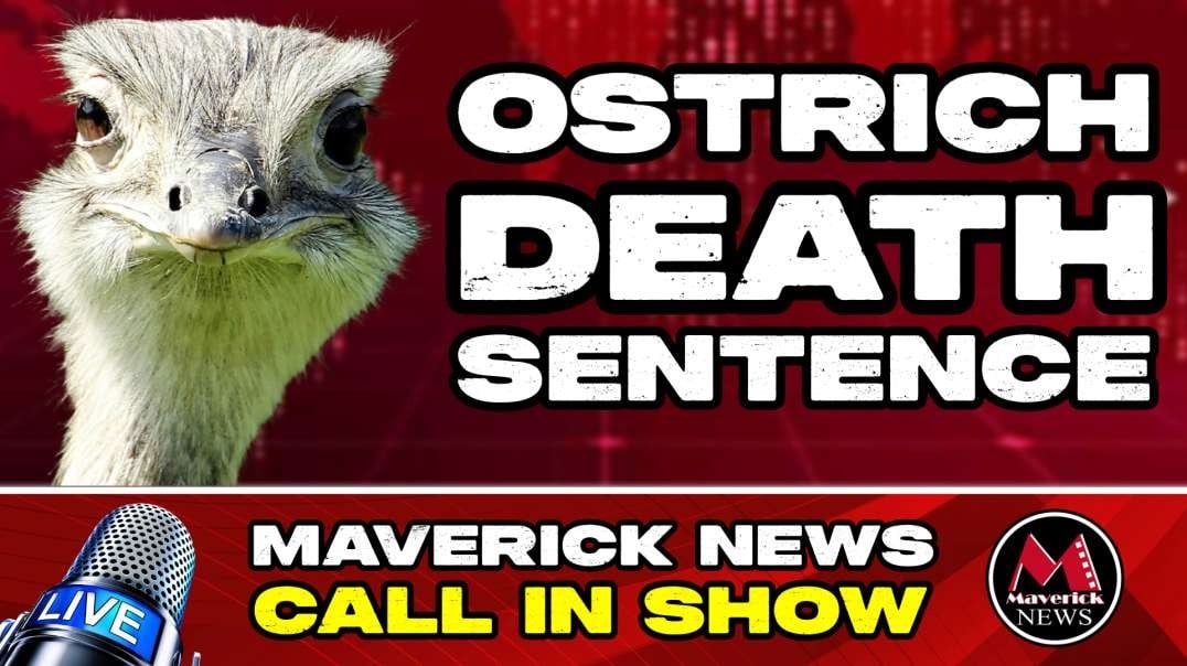 B.C. Ostrich Farm Fights Government Avian Flu Kill Order For Entire Flock | Maverick News