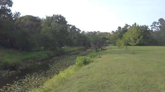 Publishing House Report 6/8/24 Livestream From Jacksonville Duval Florida USA