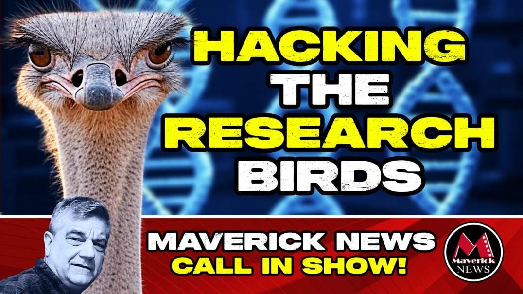 Maverick News EXCLUSIVE_ Uncovering Ostrich Research Farm TRUTH & Government Grants To Quebec Lab