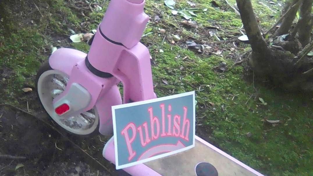 Florida Wildlife Livestream 6/24/25 From Your Publishing House Owner With Response Updates