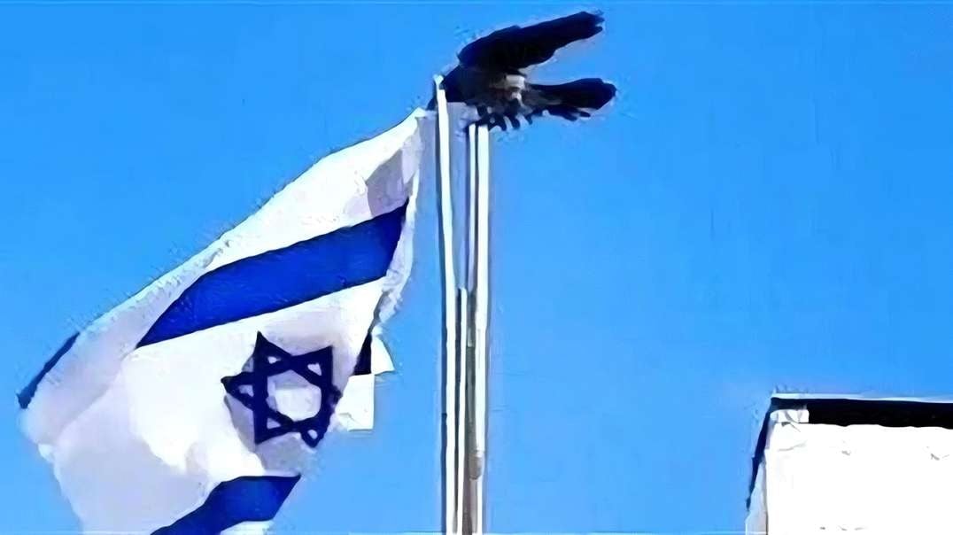 🕊️ La vidéo d’un corbeau retirant le drapeau israélien