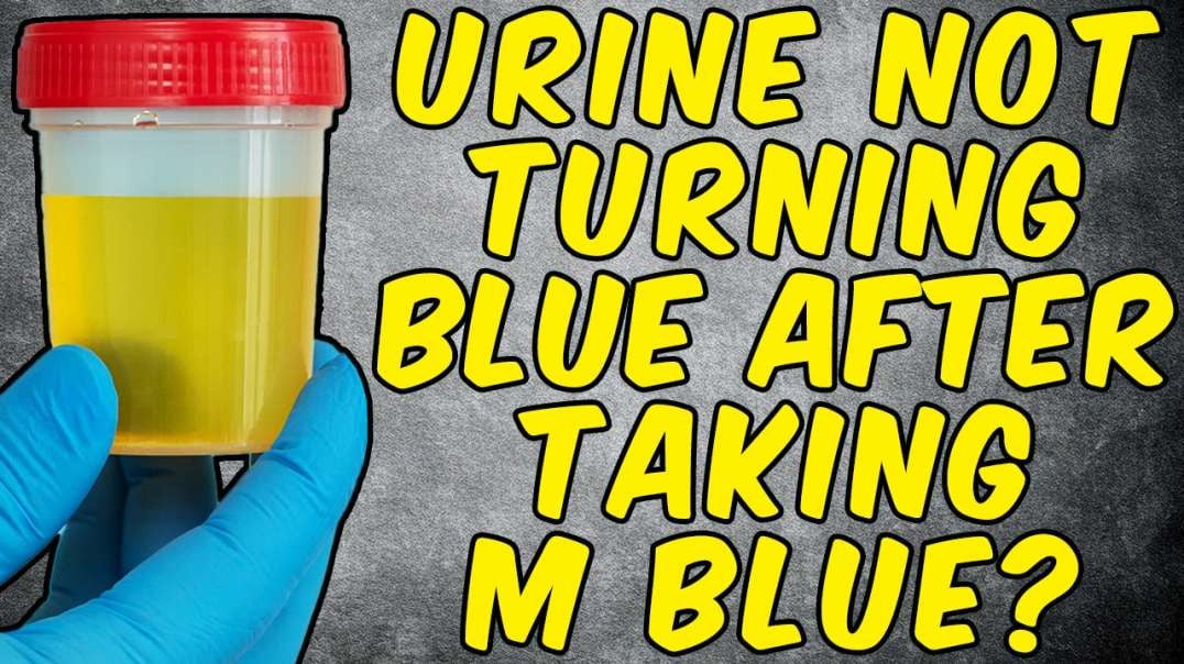 Why Your Urine Is Not Turning Blue After Taking METHYLENE BLUE!