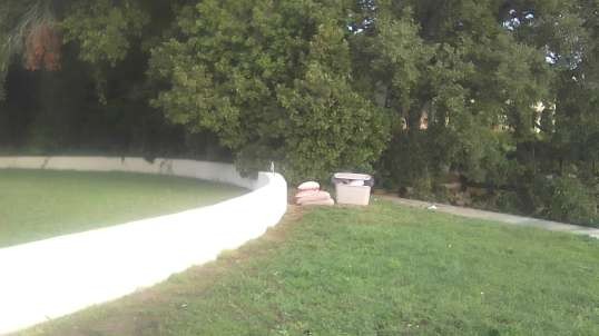 Orange Ginger Red Tabby Cat Caught By Outdoor Publishing House Security Camera In Jacksonville Florida USA With Ham And Terrestrial SDR Radio!