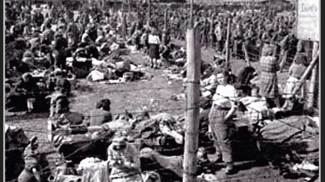 iesenhower war criminal.mp4