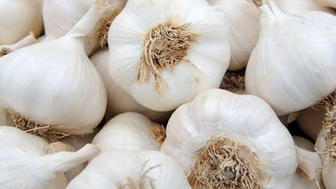 Health reform: the health benefits of eating garlic daily