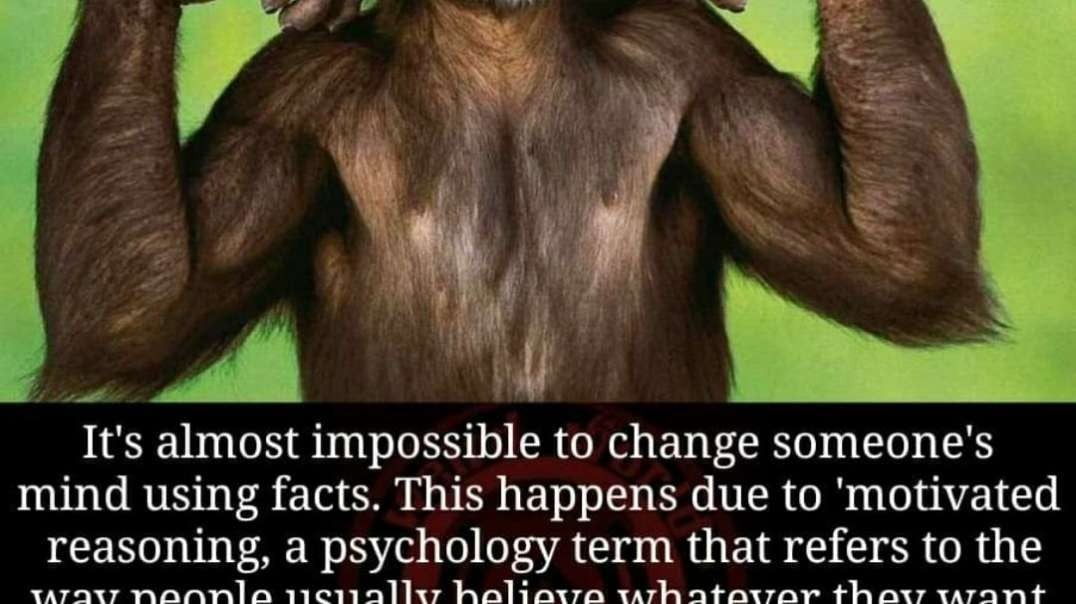The Best Way To Avoid An Argument
