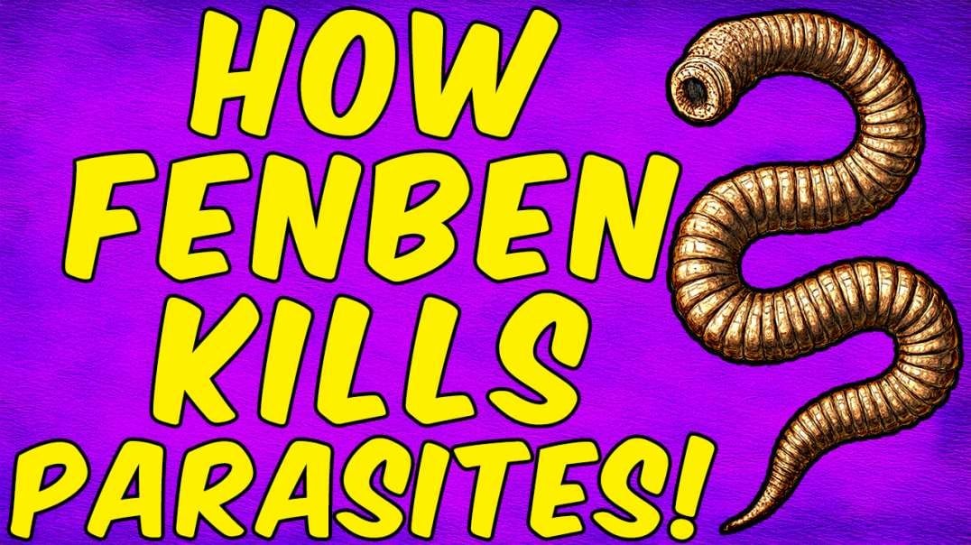 How Fenbendazole Kills Parasites! - (Science Based)