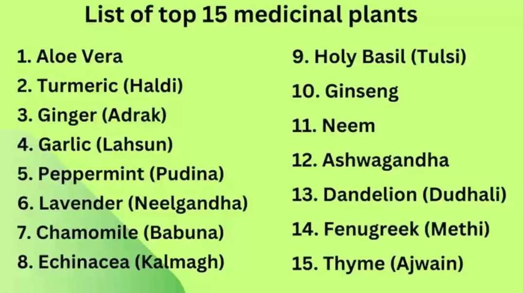 Health reform: 15 most powerful medicinal plants to heal your body